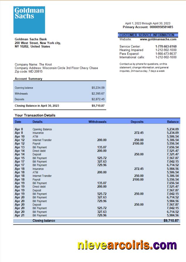Goldman Sachs bank organization account statement